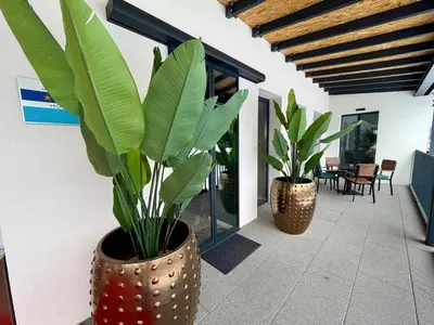 two large plants in vases on a patio at Boutique hotel ZBILJE in Zbilje