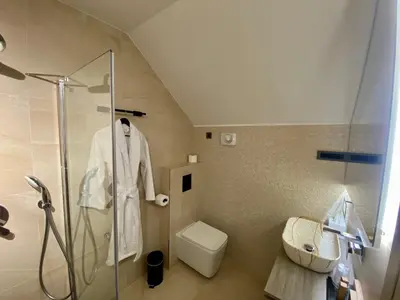 a bathroom with a shower and a toilet at Boutique hotel ZBILJE in Zbilje