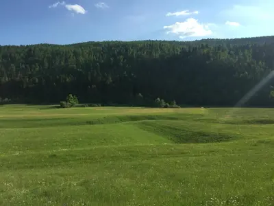 a field of green grass with trees in the background at Žigon Bed & Breakfast in Logatec