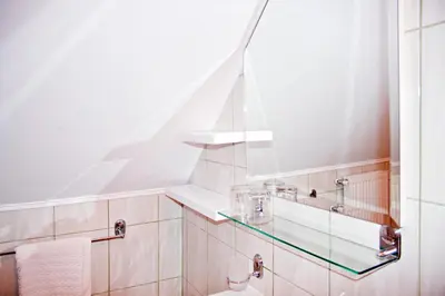a bathroom with a glass shelf above a toilet at Farm stay Bukovje in Ljubno