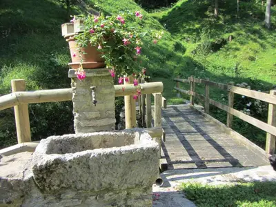 a pot of flowers on a bridge with a fence at House Dolenja Trebuša in Dolenja Trebuša