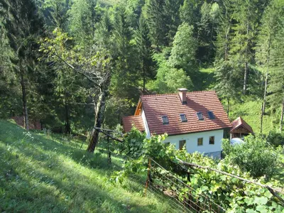 a house with a red roof on a hill at House Dolenja Trebuša in Dolenja Trebuša