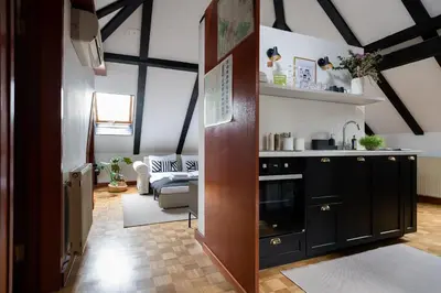 a kitchen with black cabinets and a living room at Vila Tivoli in Ljubljana