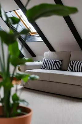 a couch with pillows and a plant in a room at Vila Tivoli in Ljubljana