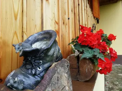 a statue of a cat in a persons shoe next to flowers at Počitniška hiška Kašta in Luče