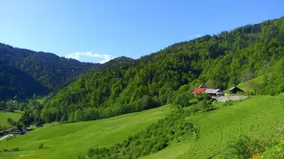 a green hillside with a house on top of it at Počitniška hiška Kašta in Luče