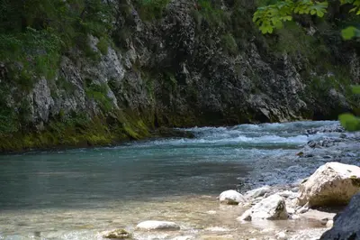 a river with rocks in the middle of a mountain at Počitniška hiška Kašta in Luče