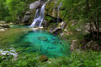 a waterfall in the middle of a river at Apartments Tatjana in Bovec