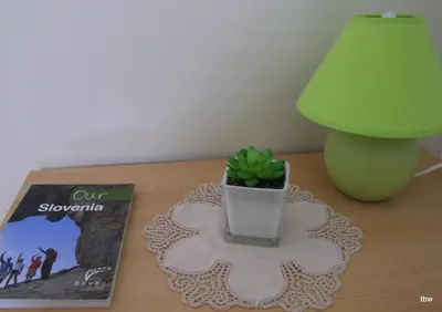 a plant in a pot on a table next to a lamp at Apartments Tatjana in Bovec