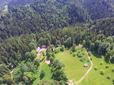 an aerial view of a house in the middle of a forest at Počitniška hiša Koča Dobnik in Lovrenc na Pohorju