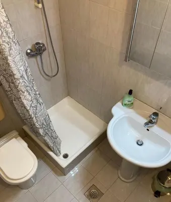 a bathroom with a shower and a toilet and a sink at Apartment Vrtacnik in Štefanja Gora