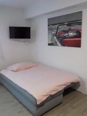 a bedroom with a bed and a tv on the wall at Apartment Pri Ruscu in Tolmin