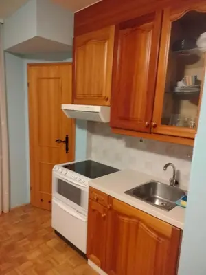 a kitchen with wooden cabinets and a sink at Apartment Pika in Moravske Toplice