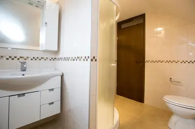 a bathroom with a sink and a toilet at Holiday House Klemenčič in Bohinj