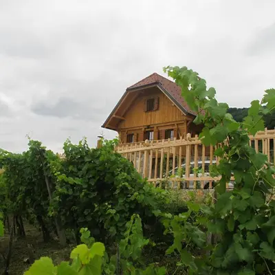a wooden house in the middle of a vineyard at Zidanica Ravbar in Uršna Sela