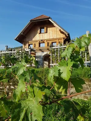 a house in the middle of a vineyard at Zidanica Ravbar in Uršna Sela