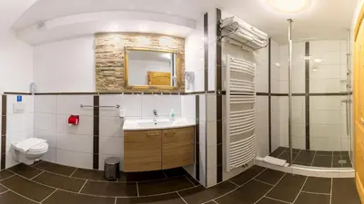 a bathroom with a sink and a toilet and a mirror at Apartments in Villa Flora in Kranjska Gora