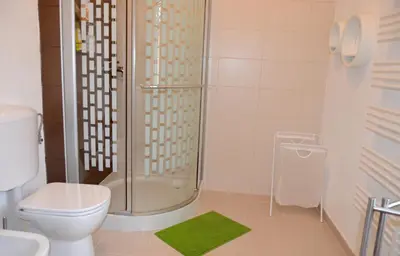 a bathroom with a shower and a toilet and a green rug at Guesthouse Soul in Ljubljana