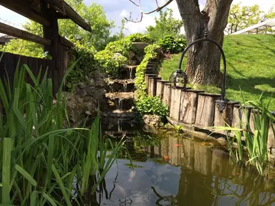 a pond in a garden with a tree and stairs at Bled Apartment Kirsch in Bled