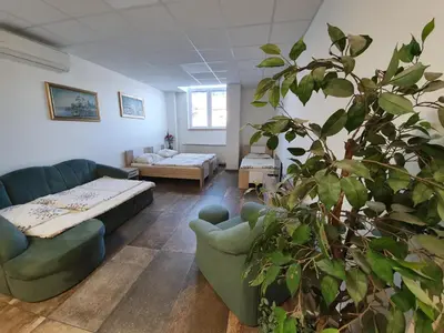 a living room with a couch and a plant at Hostel Novak in Novo Mesto