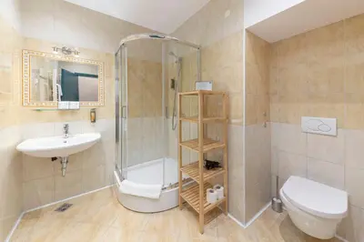 a bathroom with a shower and a toilet and a sink at Hiša Ojstrica in Solčava