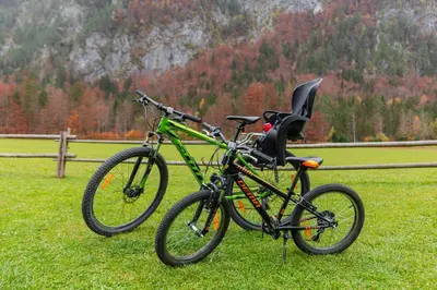 two bikes parked in a field next to a fence at Hiša Ojstrica in Solčava