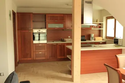 a kitchen with wooden cabinets and a counter top at Apartments Villa Dov in Bohinj