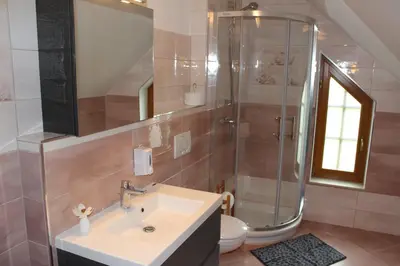 a bathroom with a sink and a shower and a toilet at Apartments Villa Dov in Bohinj