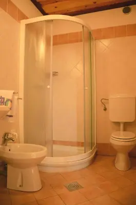 a bathroom with a shower with a toilet and a sink at Tourist Farm Žvanč in Kobarid