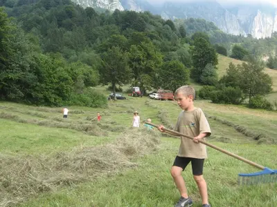a young boy holding a stick in a field at Tourist Farm Žvanč in Kobarid