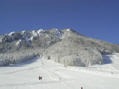 a group of people skiing down a snow covered mountain at Apartment Bernik II in Kranjska Gora