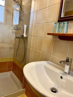 a bathroom with a sink and a shower at Govc-Vršnik in Solčava