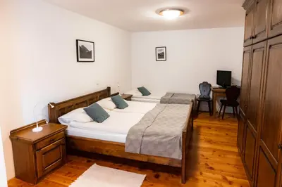 a bedroom with a large bed and a desk at Govc-Vršnik in Solčava