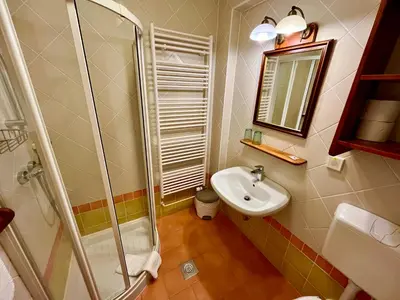 a bathroom with a shower and a sink at Govc-Vršnik in Solčava