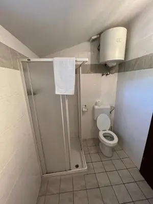 a bathroom with a shower and a toilet at Apartments Klabjan in Osp