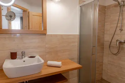a bathroom with a sink and a shower at Hotel House Rozka in Cerklje na Gorenjskem