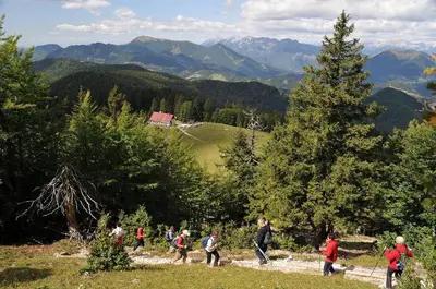 a group of people walking on a hill with trees at Apartmaji Srnca in Cerkno