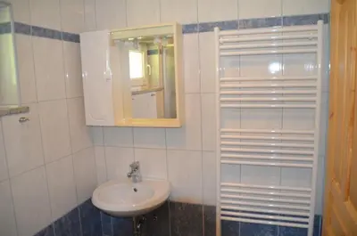 a bathroom with a sink and a mirror at Apartmaji Srnca in Cerkno