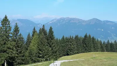 a hill with trees and mountains in the background at Apartmaji Srnca in Cerkno