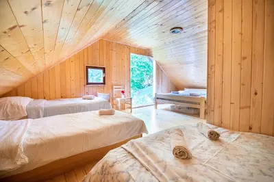 two beds in a room with wooden walls at Miha lodge - Mihčevo pleče in Soča