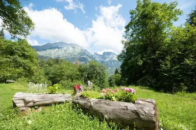 a garden with flowers in a wooden box at Miha lodge - Mihčevo pleče in Soča