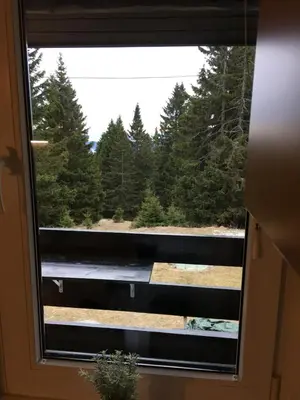 a window with a view of a forest of trees at Apartment Gaber 82 in Zreče