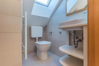 a bathroom with a toilet and a sink at Villa Bohinca in Bohinj