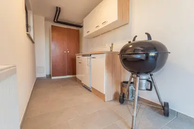 a kitchen with a grill in the corner of a room at Villa Bohinca in Bohinj