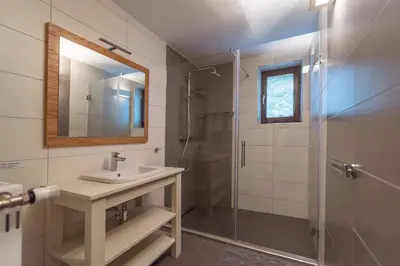 a bathroom with a sink and a shower at Villa Bohinca in Bohinj