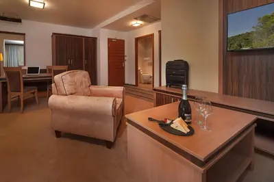 a living room with a bottle of wine and a chair at Hotel Kras in Postojna