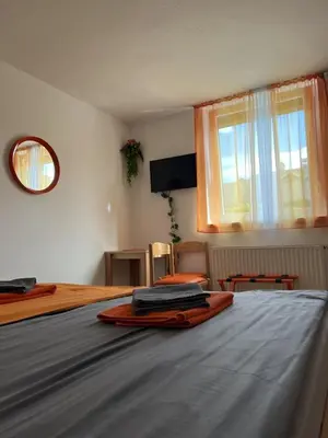 a bedroom with a bed and a tv and a window at Pension TTT in Bled