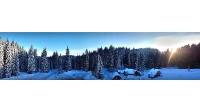 a snow covered forest with the sun in the background at Hotel Pokljuka in Goreljek