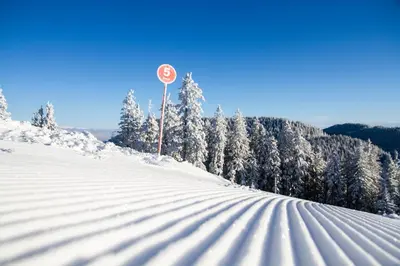 a stop sign on a snow covered slope with trees at Wellness Hotel Montis in Mozirje