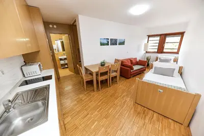 a small apartment with a kitchen and a living room at Hotel Celjska Koca in Celje